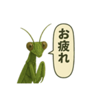 CS✨カマスタ！（個別スタンプ：8）