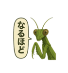 CS✨カマスタ！（個別スタンプ：10）