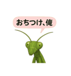 CS✨カマスタ！（個別スタンプ：11）