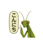 CS✨カマスタ！（個別スタンプ：13）