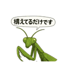 CS✨カマスタ！（個別スタンプ：14）