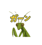 CS✨カマスタ！（個別スタンプ：15）