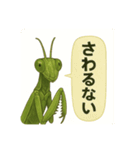 CS✨カマスタ！（個別スタンプ：16）