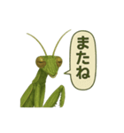 CS✨カマスタ！（個別スタンプ：19）