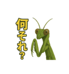 CS✨カマスタ！（個別スタンプ：20）