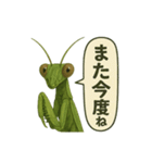 CS✨カマスタ！（個別スタンプ：22）