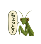 CS✨カマスタ！（個別スタンプ：24）