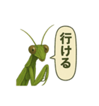CS✨カマスタ！（個別スタンプ：25）