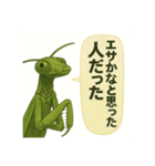 CS✨カマスタ！（個別スタンプ：27）