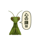 CS✨カマスタ！（個別スタンプ：31）