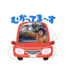 (ERKM)（個別スタンプ：8）