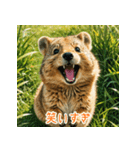 クォッカのかわいい表情集（個別スタンプ：4）