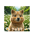 クォッカのかわいい表情集（個別スタンプ：8）