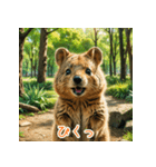 クォッカのかわいい表情集（個別スタンプ：10）