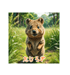 クォッカのかわいい表情集（個別スタンプ：13）