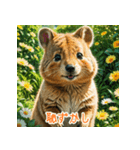 クォッカのかわいい表情集（個別スタンプ：15）