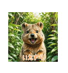クォッカのかわいい表情集（個別スタンプ：19）