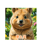 クォッカのかわいい表情集（個別スタンプ：23）