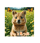 クォッカのかわいい表情集（個別スタンプ：25）