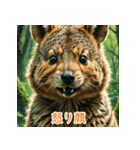 クォッカのかわいい表情集（個別スタンプ：33）