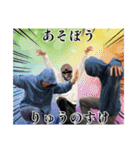 謝罪りゅうのすけシリーズ PRO（個別スタンプ：24）