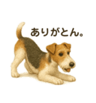 ちょっとリアルなワイヤーフォックステリア（個別スタンプ：12）