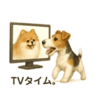 ちょっとリアルなワイヤーフォックステリア（個別スタンプ：23）