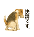 ちょっとリアルなワイヤーフォックステリア（個別スタンプ：25）