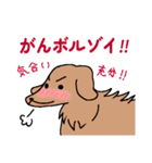 犬ダジャレスタンプ（相模大野事業所）（個別スタンプ：1）