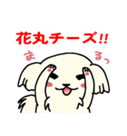 犬ダジャレスタンプ（相模大野事業所）（個別スタンプ：9）
