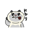 ぽっちゃり猫のしゃむさん（個別スタンプ：7）
