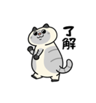 ぽっちゃり猫のしゃむさん（個別スタンプ：9）