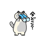 ぽっちゃり猫のしゃむさん（個別スタンプ：10）