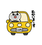 ぽっちゃり猫のしゃむさん（個別スタンプ：11）