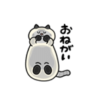 ぽっちゃり猫のしゃむさん（個別スタンプ：16）