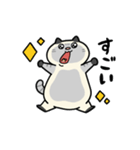 ぽっちゃり猫のしゃむさん（個別スタンプ：17）