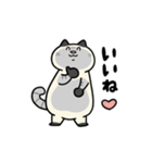 ぽっちゃり猫のしゃむさん（個別スタンプ：19）