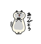 ぽっちゃり猫のしゃむさん（個別スタンプ：22）