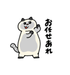 ぽっちゃり猫のしゃむさん（個別スタンプ：25）