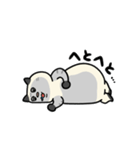 ぽっちゃり猫のしゃむさん（個別スタンプ：26）
