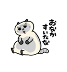 ぽっちゃり猫のしゃむさん（個別スタンプ：27）