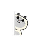 ぽっちゃり猫のしゃむさん（個別スタンプ：34）