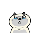 ぽっちゃり猫のしゃむさん（個別スタンプ：39）