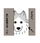 シベリアンハスキーのまめ(使いにくい)（個別スタンプ：2）