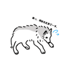 シベリアンハスキーのまめ(使いにくい)（個別スタンプ：5）