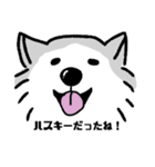 シベリアンハスキーのまめ(使いにくい)（個別スタンプ：8）