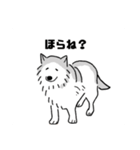 シベリアンハスキーのまめ(使いにくい)（個別スタンプ：11）