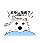 シベリアンハスキーのまめ(使いにくい)（個別スタンプ：14）
