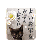 【ねこ】動く！情景ひろがるPop-Up(再販)（個別スタンプ：17）