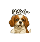 キャバリア きなこver.2（個別スタンプ：3）